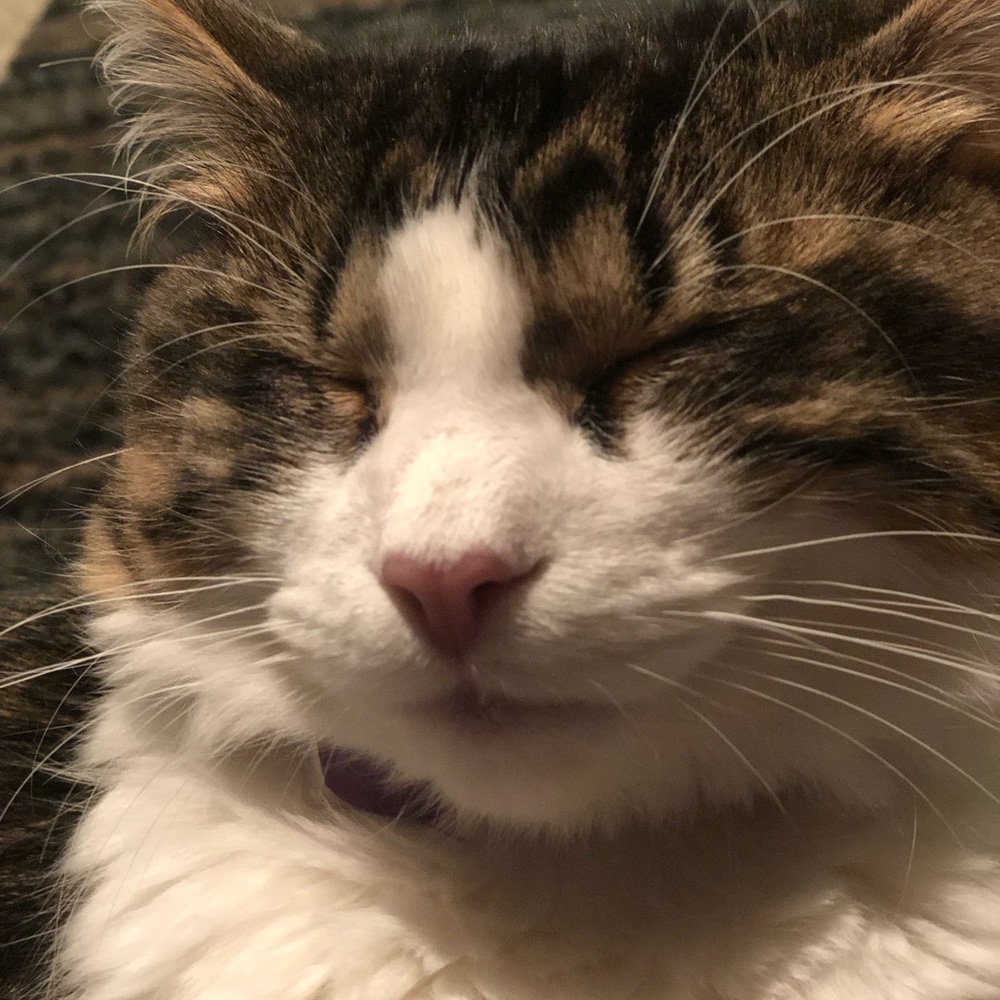 Meet your Posher, Madison